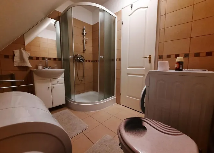 Somhegy Vendeghaz Holiday home *
